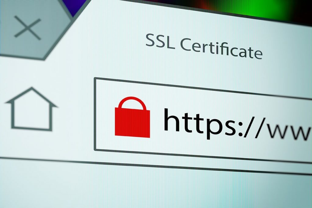 Organization Validation SSL Certificate (OV)